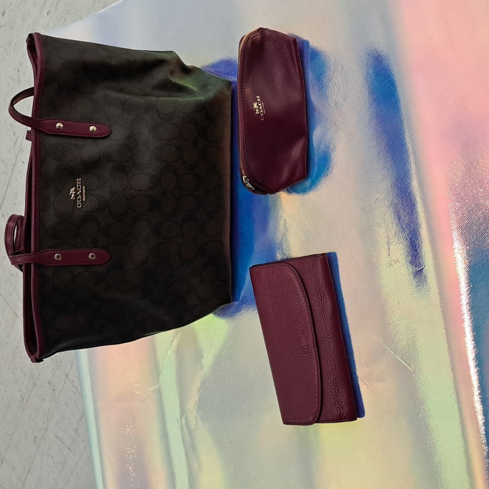 Coach Purse With Wallet And Extra What Not Bag